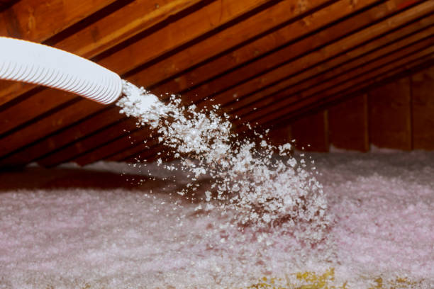 Best Insulation Contractors for Homes  in Syracuse, NY